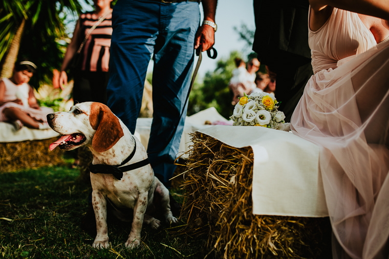 197__Lella♥Matteo_Silvia Taddei Sardinia Destination Wedding 79.jpg
